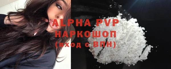 гидра Абаза