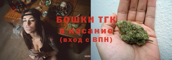 гидра Абаза
