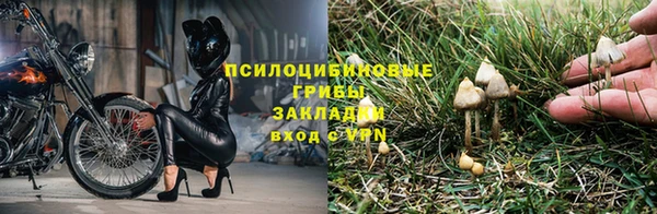 гидра Абаза