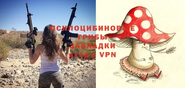 ГАЛЛЮЦИНОГЕННЫЕ ГРИБЫ Алзамай