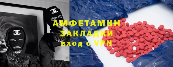 гидра Абаза